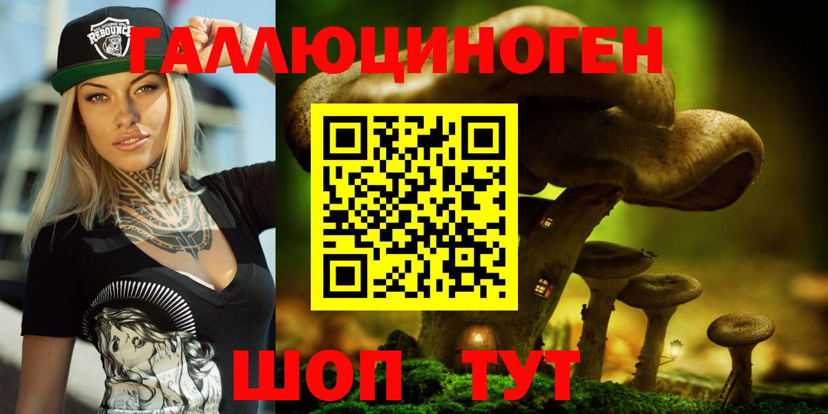 Галлюциногенные грибы Psilocybine cubensis  Ишимбай  Галлюциногенные грибы MAGIC MUSHROOMS 